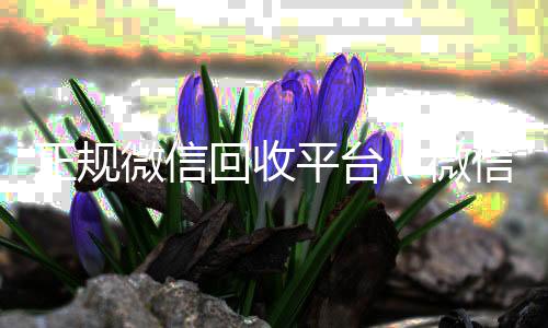 正规微信回收平回收微信号台（微信回收平台联系方式）